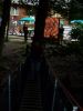 100_4995.JPG