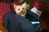 Filename=ime_001.jpg
Filesize=83KB
Dimensions=800x533
Date added=May 06, 2007 ime_001.jpg