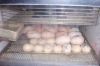 Filename=ime_024.jpg
Filesize=58KB
Dimensions=800x533
Date added=May 06, 2007 ime_024.jpg