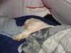 DSC00136.JPG