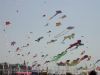 DSCN2455.JPG