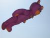 DSCN2471.JPG