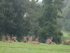 DSC04956.JPG