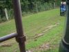 DSC04990.JPG
