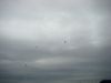 DSC00332.JPG