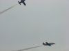 DSC00484.JPG