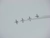 DSC00488.JPG