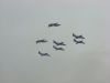 DSC00500.JPG