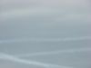 DSC00599.JPG
