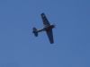 DSC01442.JPG