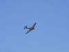 DSC01443.JPG