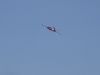DSC01485.JPG