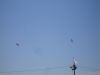 DSC01489.JPG