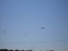 DSC01490.JPG