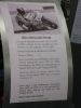 Filename=ml000191.jpg
Filesize=26KB
Dimensions=360x480
Date added=Nov 27, 2007 ml000191.jpg