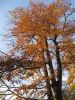 Filename=ml000261.jpg
Filesize=72KB
Dimensions=360x480
Date added=Nov 27, 2007 ml000261.jpg