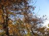 Filename=ml000263.jpg
Filesize=109KB
Dimensions=640x480
Date added=Nov 27, 2007 ml000263.jpg