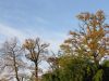Filename=ml000264.jpg
Filesize=74KB
Dimensions=640x480
Date added=Nov 27, 2007 ml000264.jpg