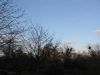 Filename=ml000273.jpg
Filesize=52KB
Dimensions=640x480
Date added=Nov 27, 2007 ml000273.jpg