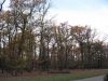 ml000275.jpg