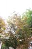 100_6257.JPG