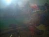 DSCF0069.JPG