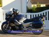 DSC01954.jpg