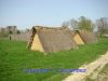 DSC07685.jpg
