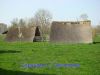 DSC07686.jpg
