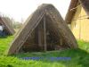 DSC07687.jpg