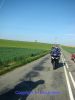 DSC08185.jpg