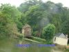 DSC08726.jpg