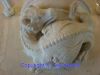 DSC08807.jpg
