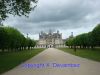 DSC08863.jpg