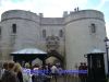 DSC08946.jpg