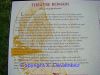 DSC09243.jpg
