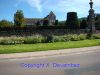 DSC09259.jpg
