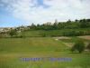 DSC09438.jpg