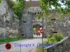 DSC09439.jpg