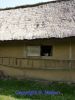 P1000074.jpg